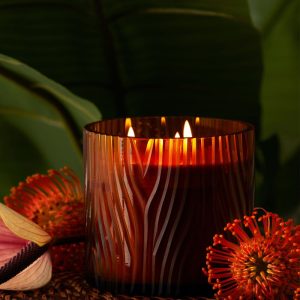 Zebra Candle