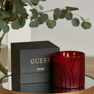 Zebra Candle