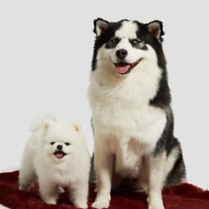 Faux-Fur Pet Carpet