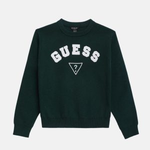 Phoenix Crewneck Sweater (7-16)