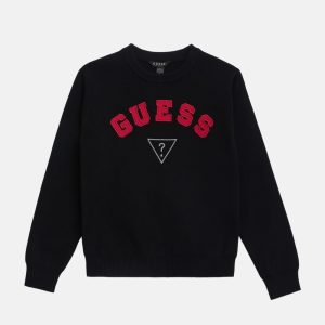 Phoenix Crewneck Sweater (7-16)
